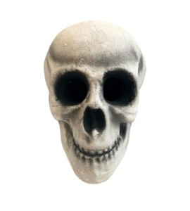 koponya