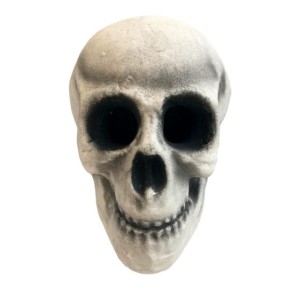 koponya